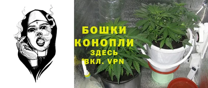 Каннабис THC 21%  Макушино 